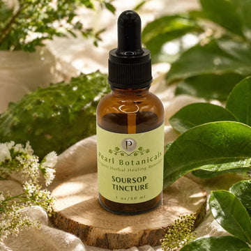SOURSOP & GINGER | Organic Wellness Tincture or Glycerite